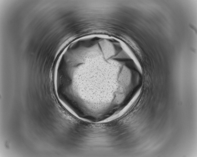 X0000096131198200802081318