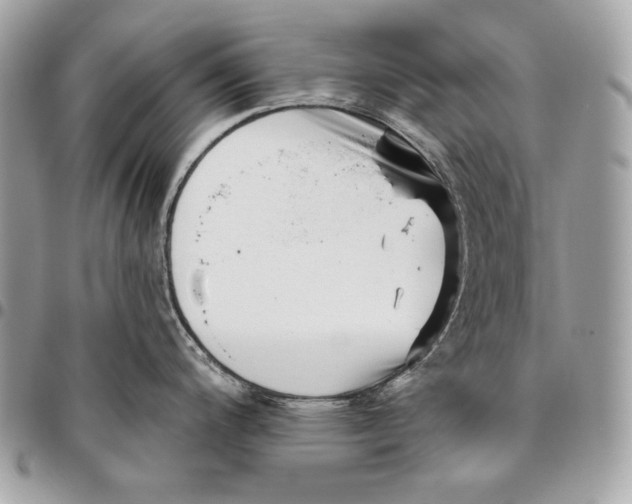 X0000096131200200802081318