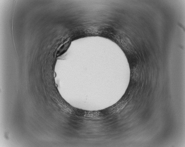 X0000096131201200802081317