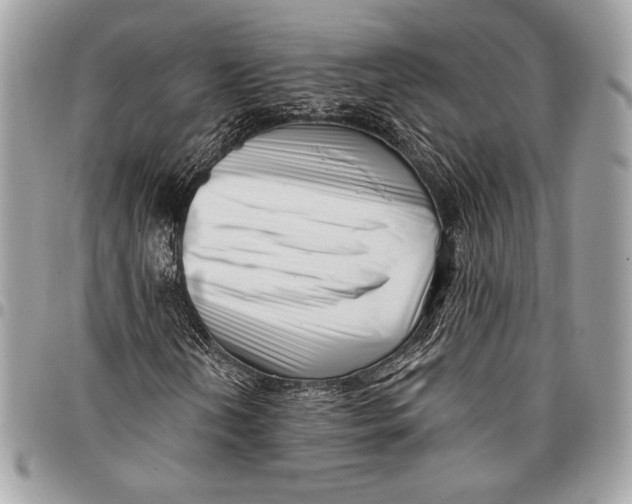 X0000096131202200802081317