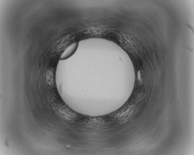 X0000096131203200802081317