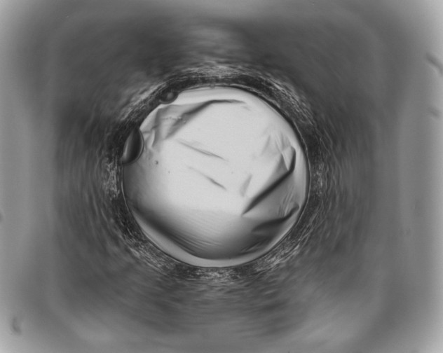 X0000096131205200802081317