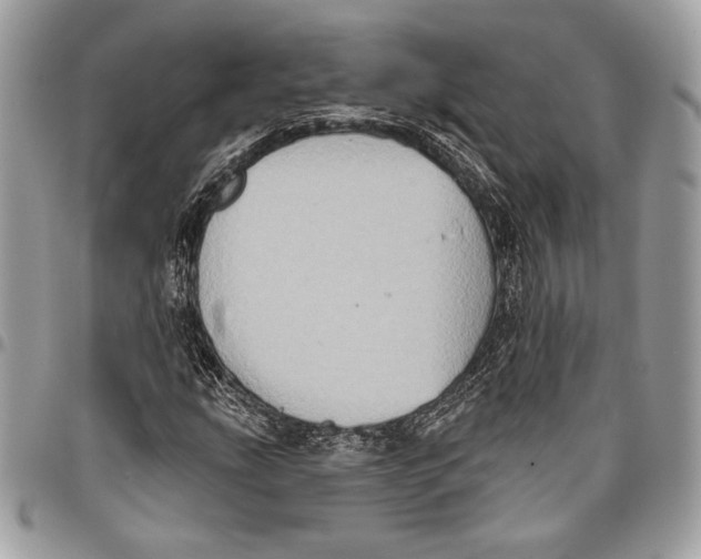 X0000096131207200802081317