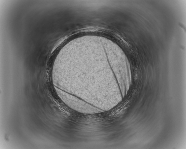 X0000096131208200802081317