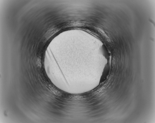 X0000096131209200802081317