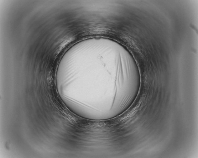 X0000096131210200802081317