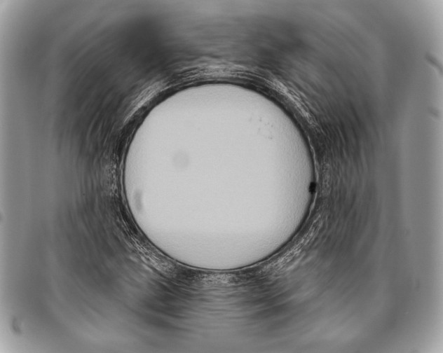 X0000096131211200802081317
