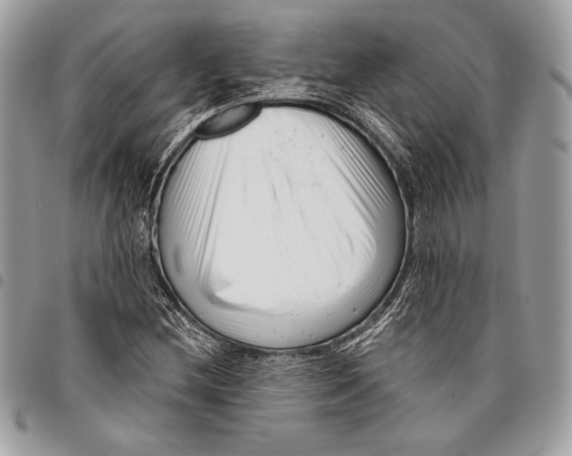 X0000096131212200802081317