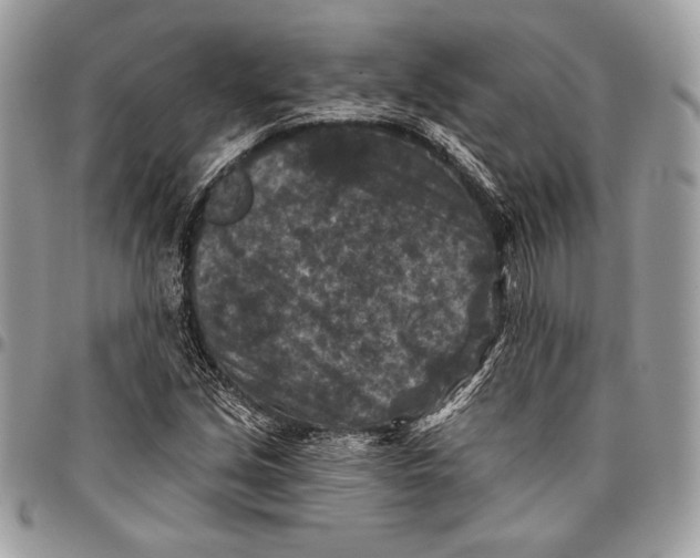 X0000096131213200802081317