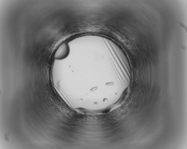 X0000096131214200802081317