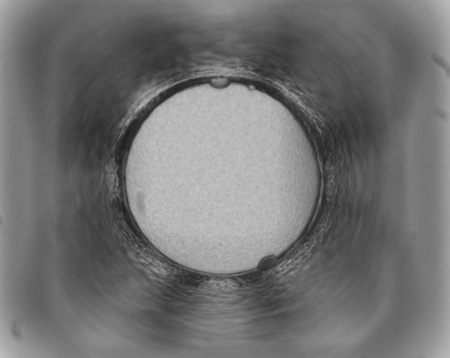 X0000096131215200802081317
