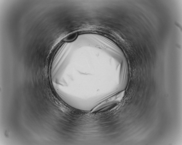 X0000096131216200802081317