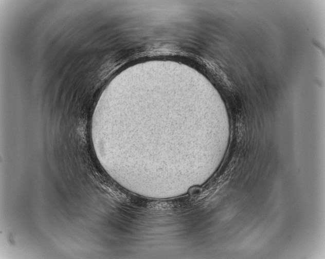 X0000096131217200802081317
