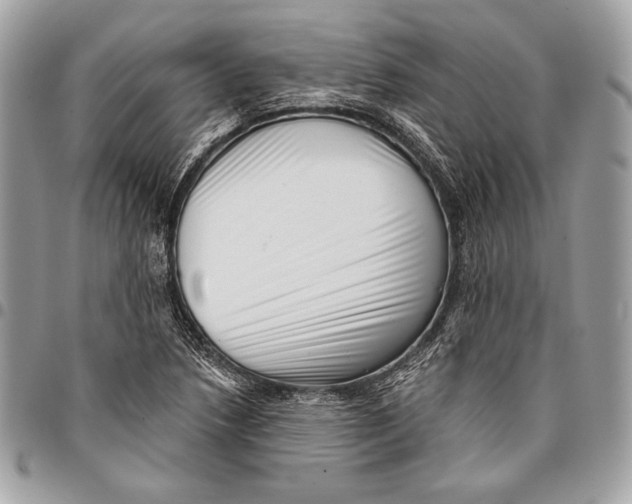 X0000096131218200802081317