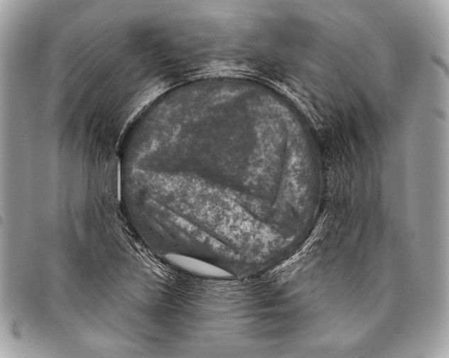 X0000096131219200802081317