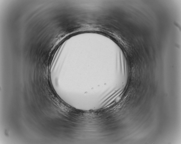 X0000096131220200802081318