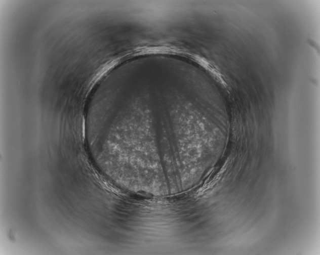 X0000096131221200802081318