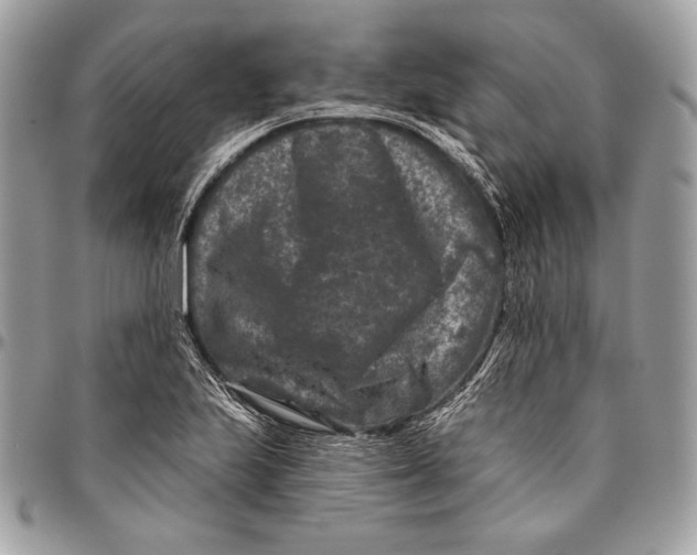 X0000096131223200802081318