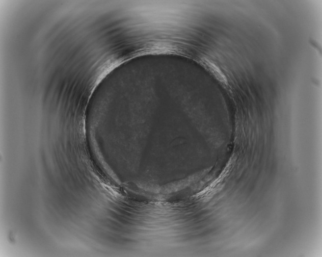 X0000096131226200802081318