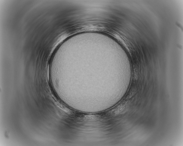 X0000096131227200802081318