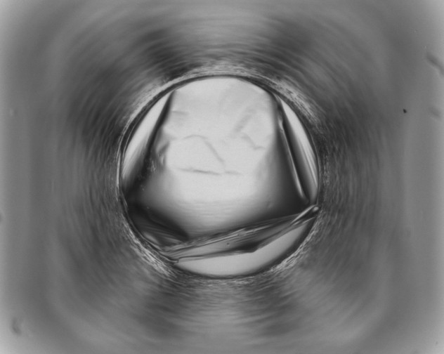 X0000096131228200802081318
