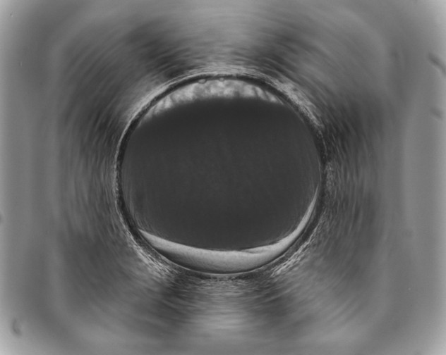 X0000096131229200802081318