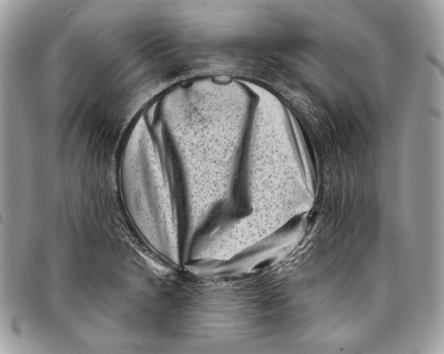 X0000096131230200802081318