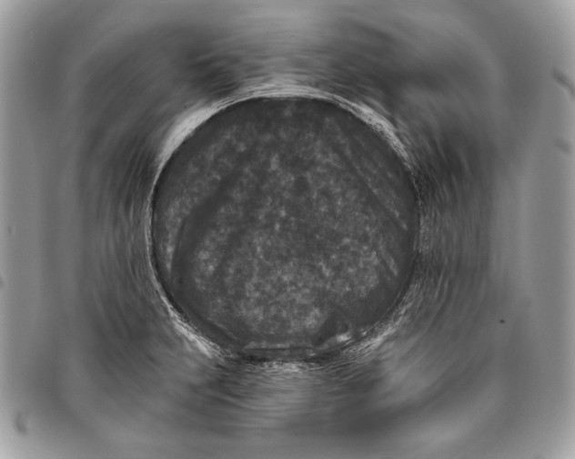 X0000096131231200802081318