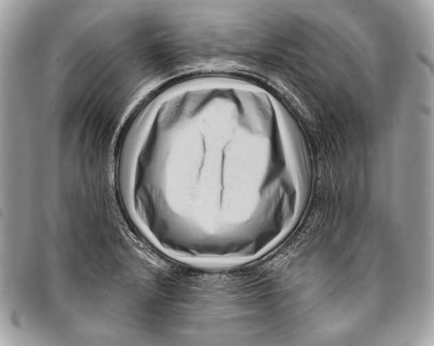 X0000096131232200802081318