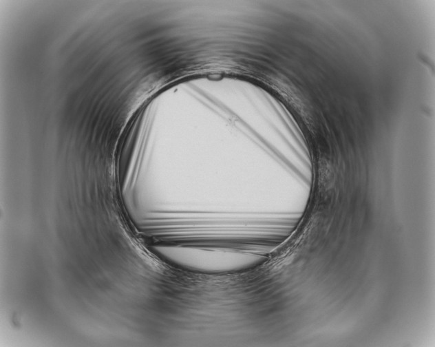 X0000096131234200802081318