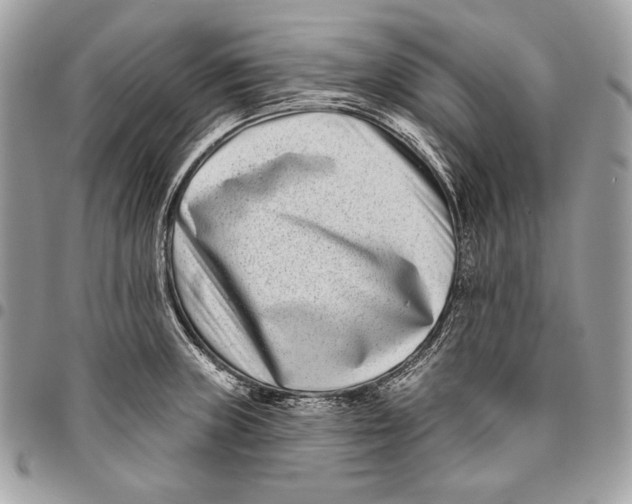 X0000096131235200802081318