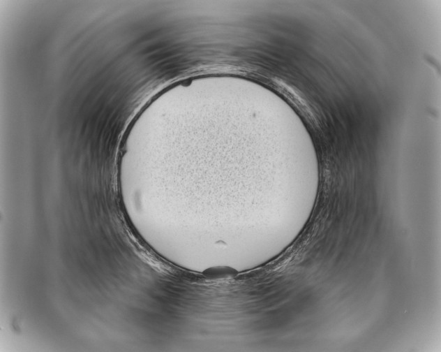 X0000096131236200802081318