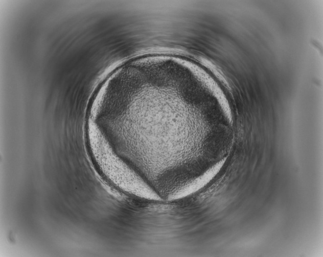 X0000096131237200802081318