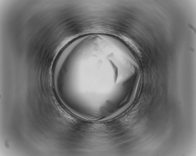 X0000096131238200802081318
