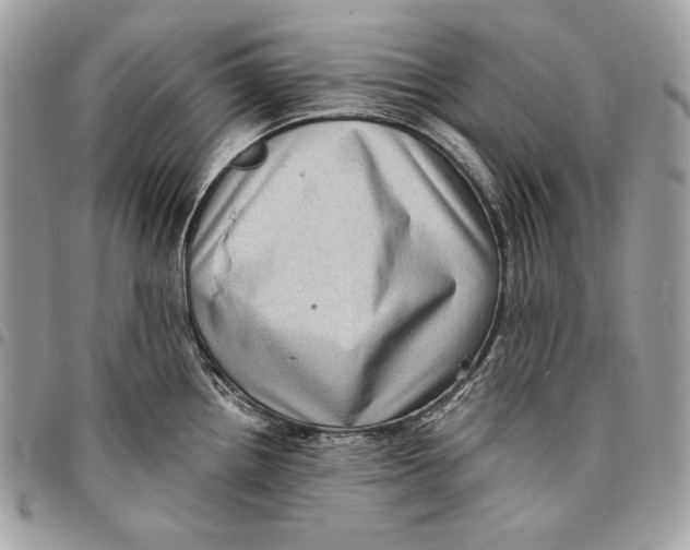 X0000096131242200802081318