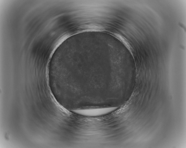 X0000096131243200802081318