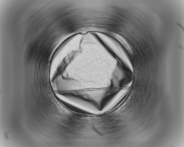 X0000096131244200802081318