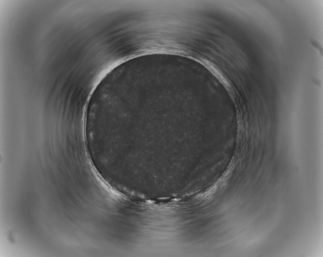 X0000096131246200802081318