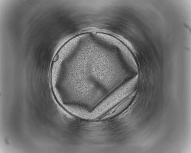 X0000096131247200802081318