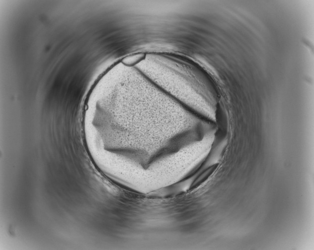 X0000096131248200802081318
