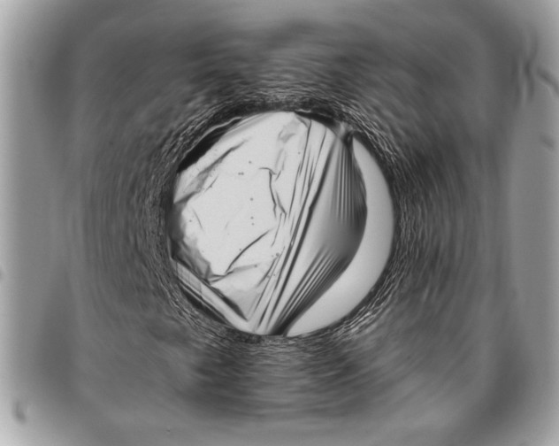 X0000096131249200802081317