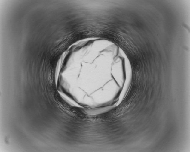 X0000096131250200802081317