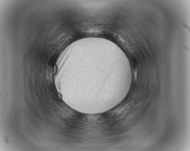X0000096131251200802081317