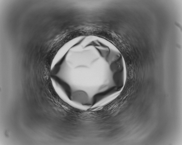 X0000096131253200802081317