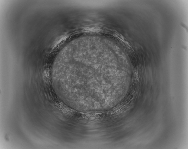 X0000096131254200802081317