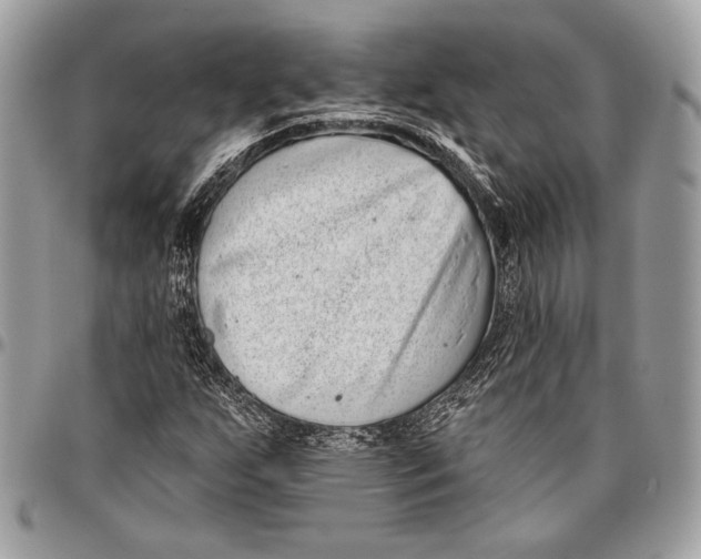 X0000096131255200802081317