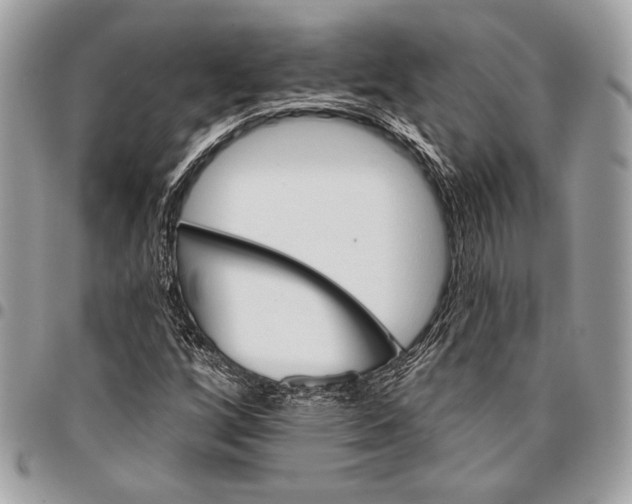 X0000096131256200802081317