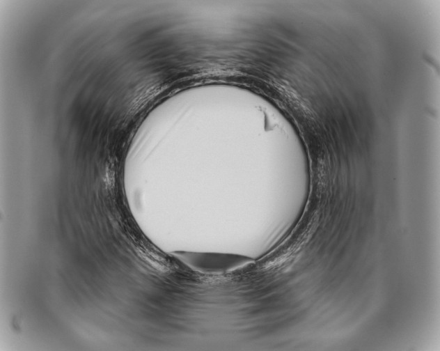 X0000096131257200802081317