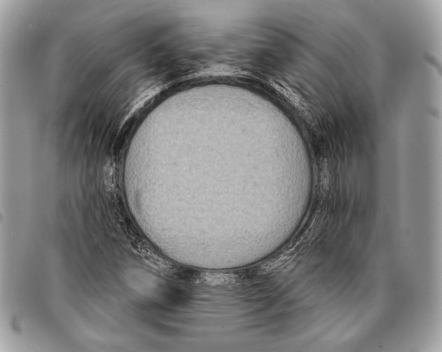 X0000096131258200802081317
