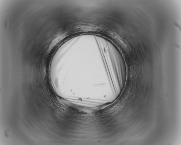 X0000096131261200802081317